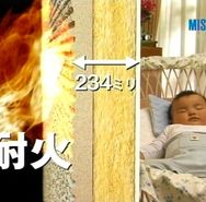 misawa home.JPG